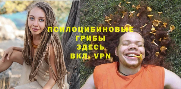 ECSTASY Вяземский