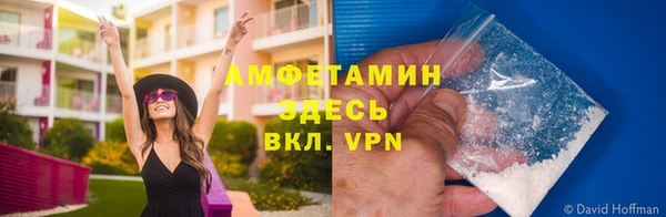 ECSTASY Вяземский