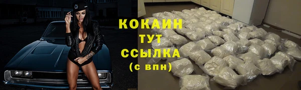 ECSTASY Вяземский