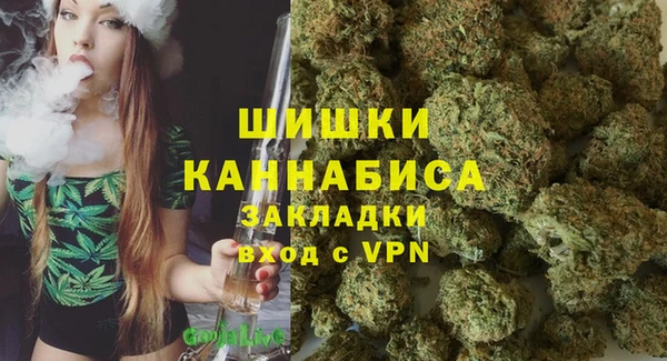 ECSTASY Вяземский